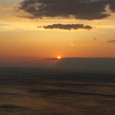 利发app手机登陆截图